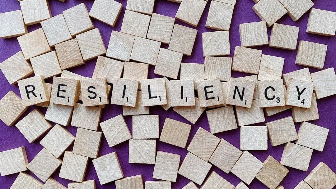 预制菜争议持续发酵,餐馆如何打消食客顾虑?