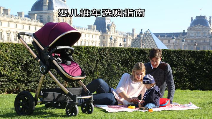霞山区“红树林保护协作探索工作室”正式揭牌