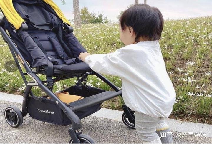 霞山区“红树林保护协作探索工作室”正式揭牌