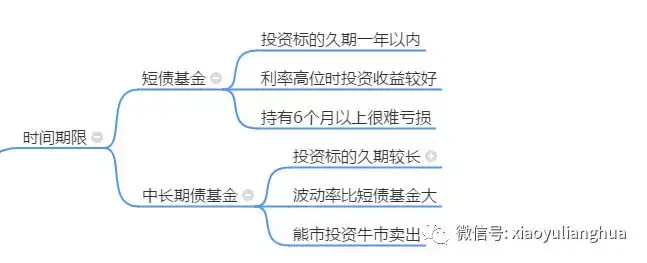贵港市大将国际学校举行2025年春季期开学典礼暨体育中心启用仪式